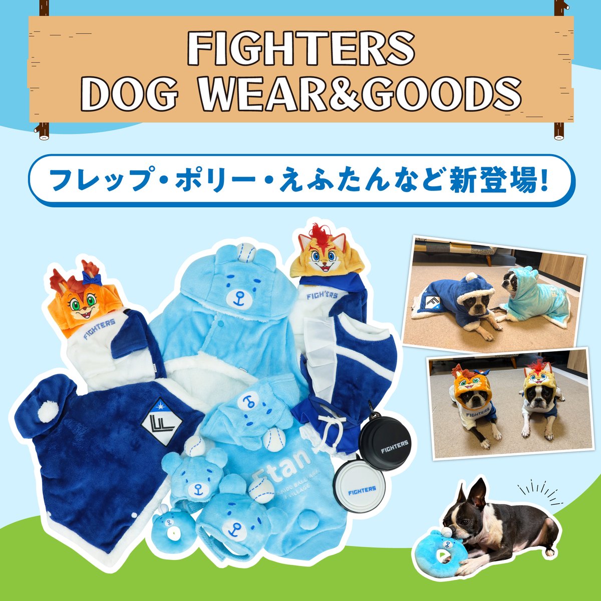 北海道日本ハムファイターズ グッズ【公式】 (@fighters_goods