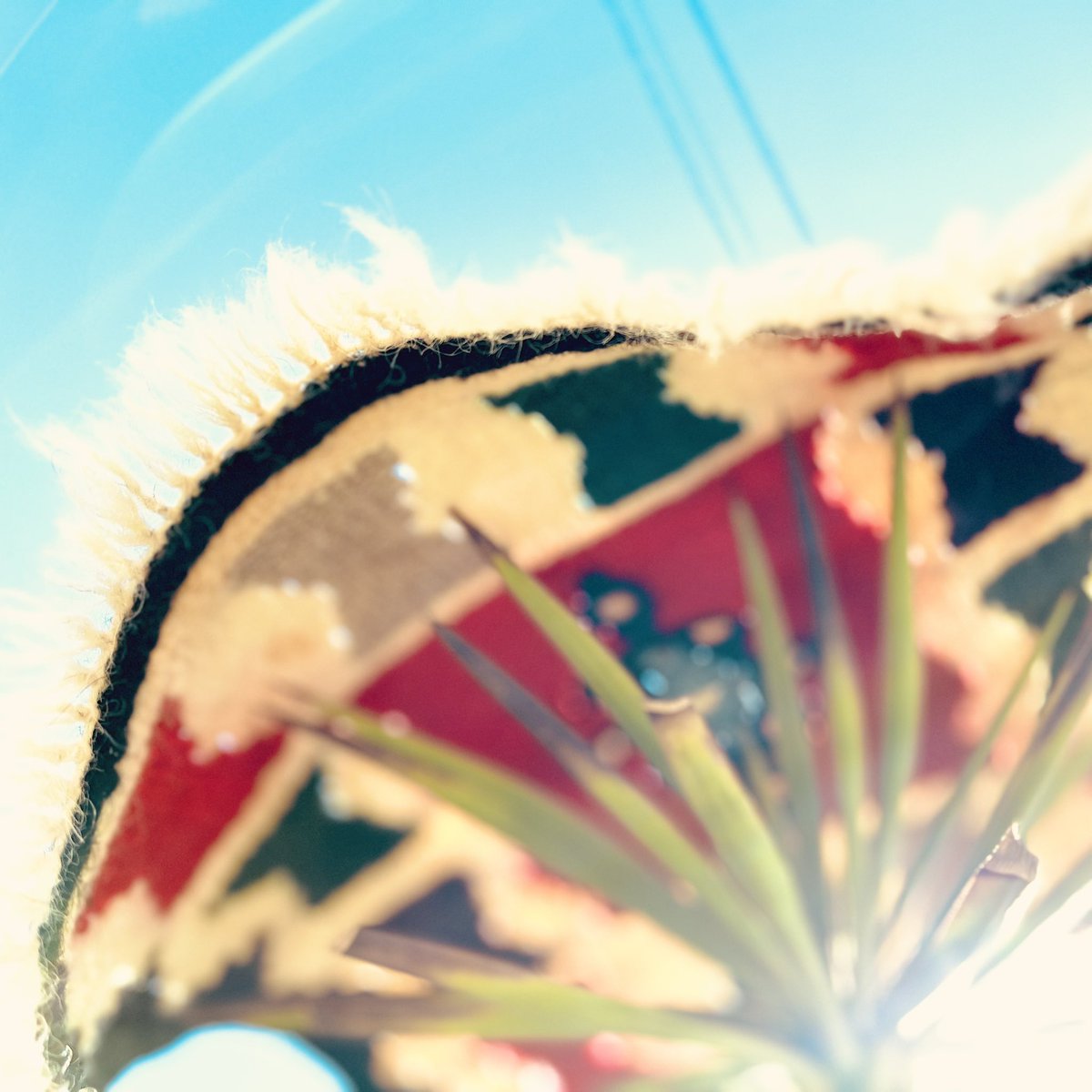 フミツクモルマ tweet media