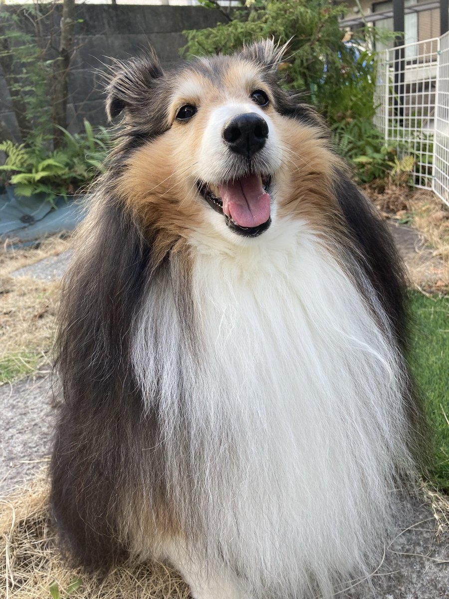 ファロン (@A2QUXDF6rZsiiVR) / Posts and Replies / X