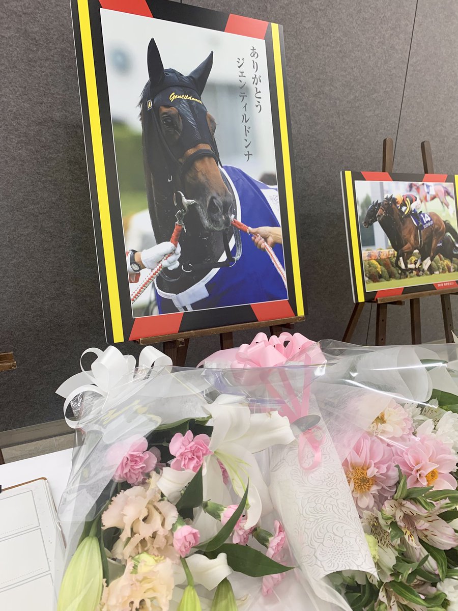 阪神競馬場でお別れを言ってきた