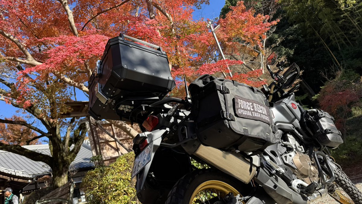 今日はアフリカさんで奈良方面へ最後の紅葉を❗️
お天気も良くて寒さ対策を万全にしたら汗かきました😅
#アフリカツイン
#CRF1000L
#紅葉狩り
#奈良県
