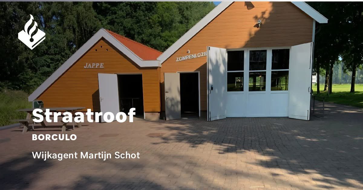 Getuigenoproep van straatroof op klaarlichte dag in Borculo