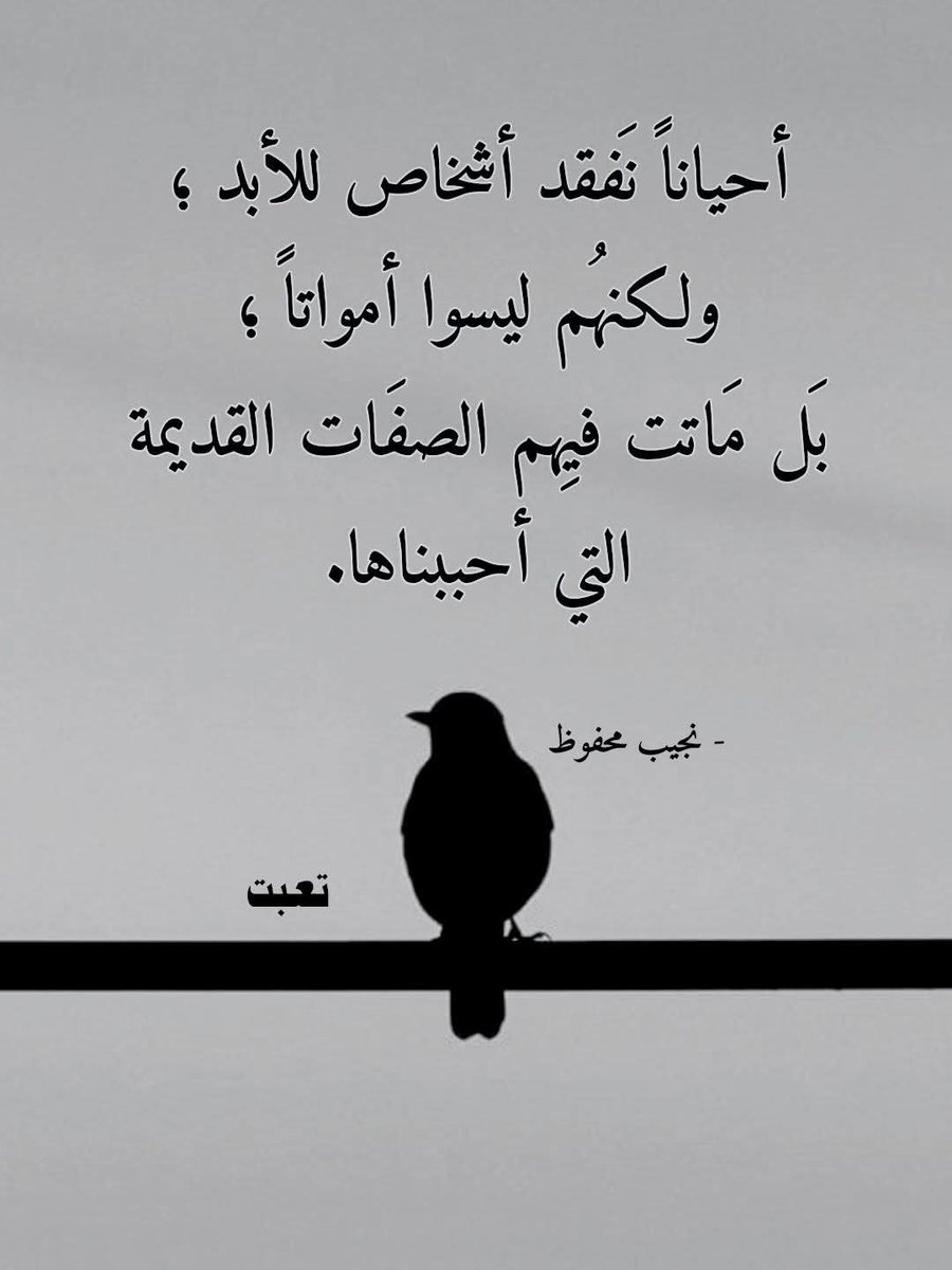 Mariam Iraqi tweet media