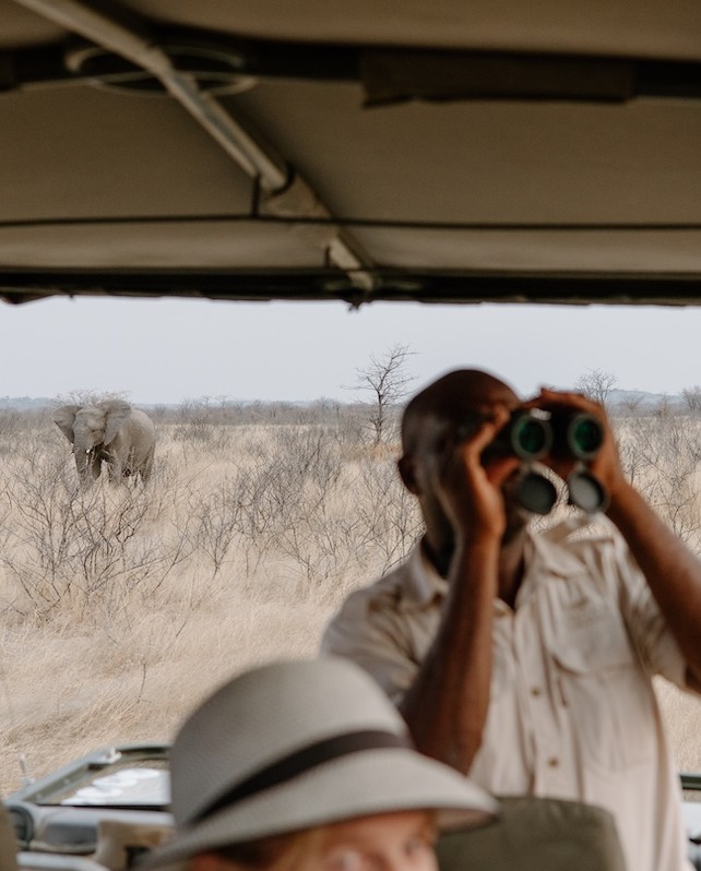 Knowledge is the true luxury of a safari. Ongava’s guides carry stories passed down through landscapes, generations, and seasons – revealing the science, humour and heart behind every sighting. This is conservation, interpreted with care.