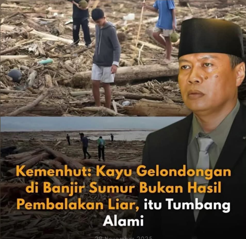 bangherwin's tweet image. 🤣🤌