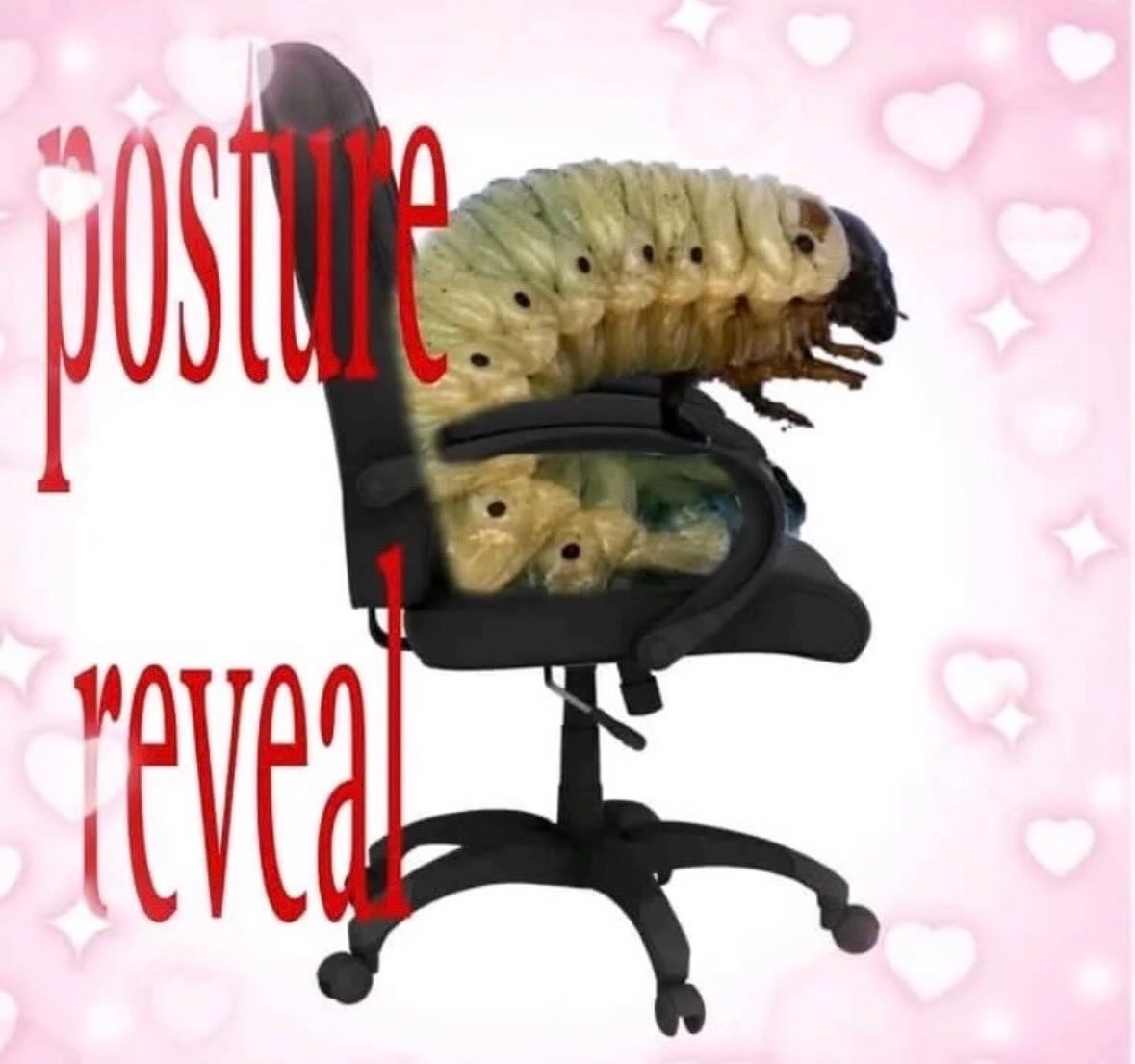 RespectfulMemes's tweet image. 