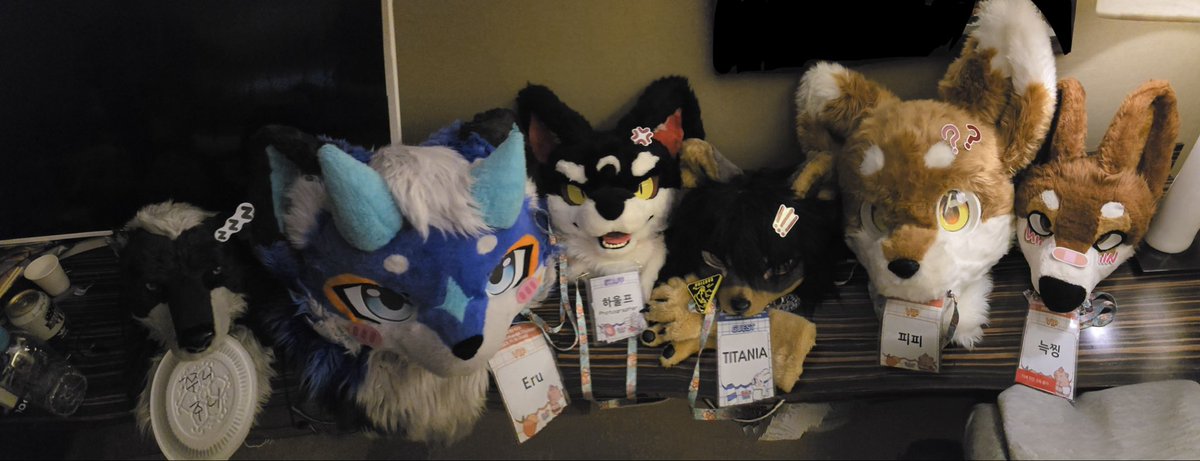 pp (퍼슈트 계정) tweet media