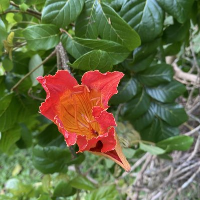peiris_kanthi's tweet photo. #NewProfilePic https://t.co/Dufg9e9CIB