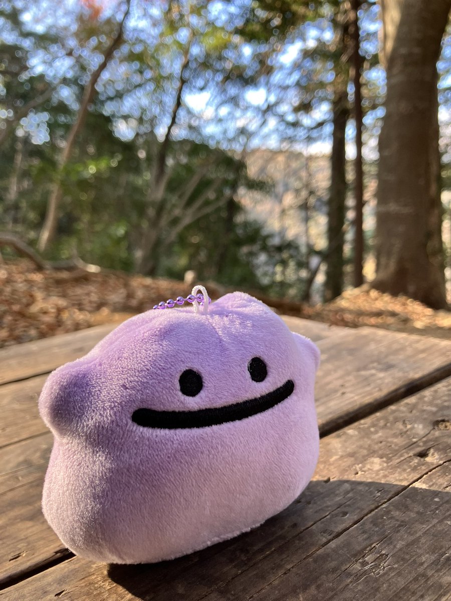 ドーナツ買うついでに登ってきました。