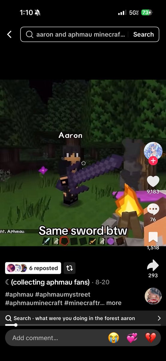 wolfiimage's tweet image. watching Stardew videos as a new player just trying get tips when I saw something that looks a little familiar…
#aphtwt