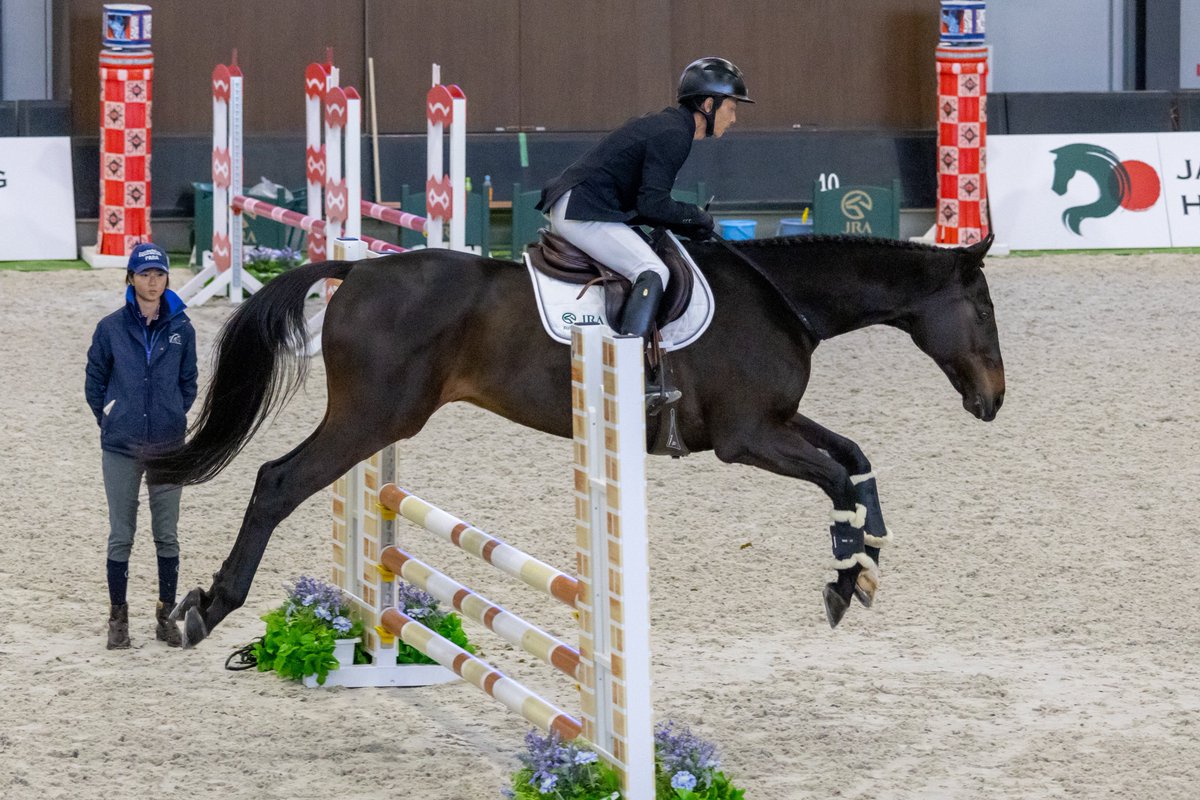 mush_vac's tweet image. メイショウダッサイさんの飛越見れた…😭
やばい泣きそう