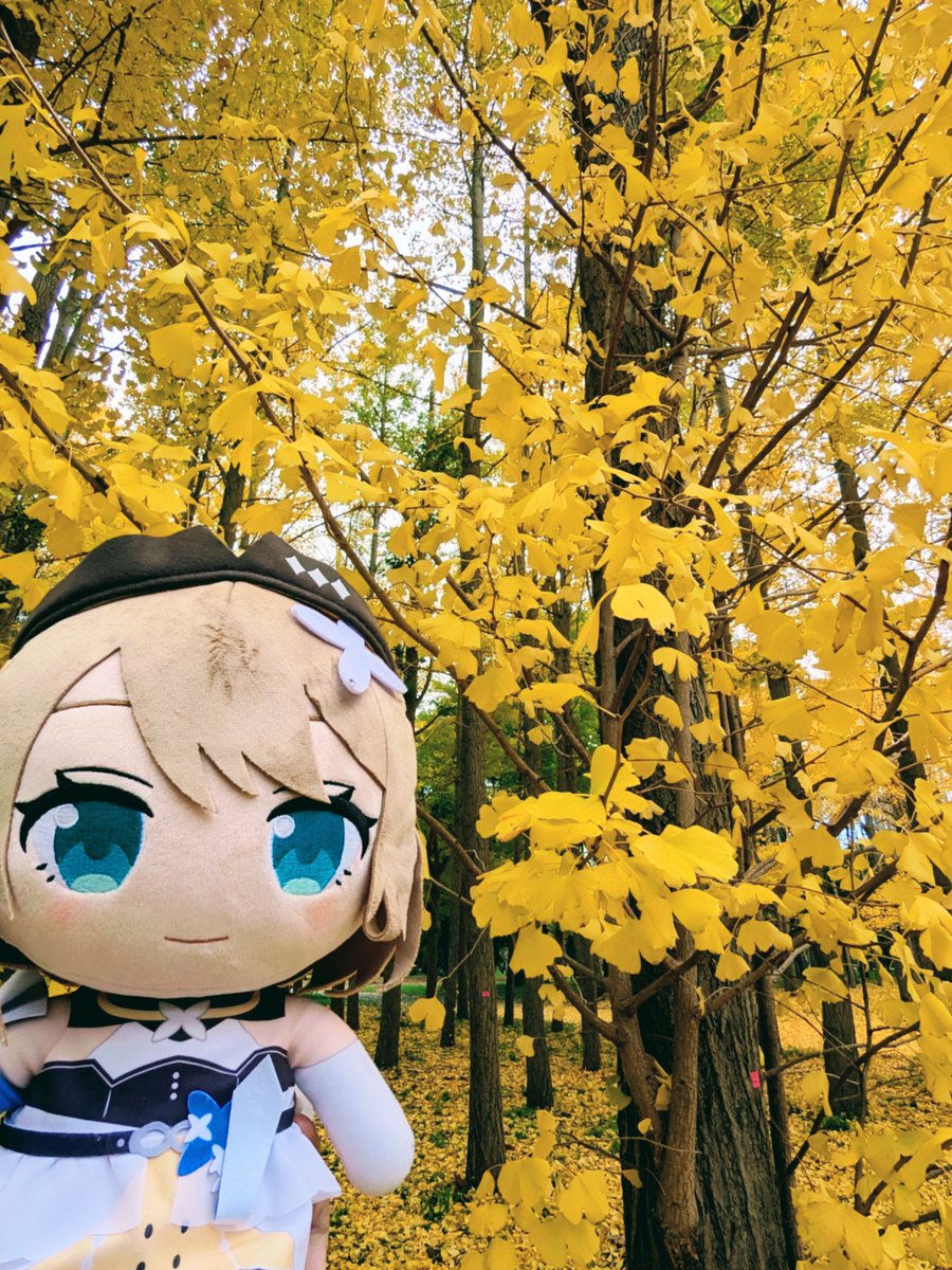 たーじおん🐡🤎🍼🩷💙🕊🖤 (@tarzion) / Posts / X