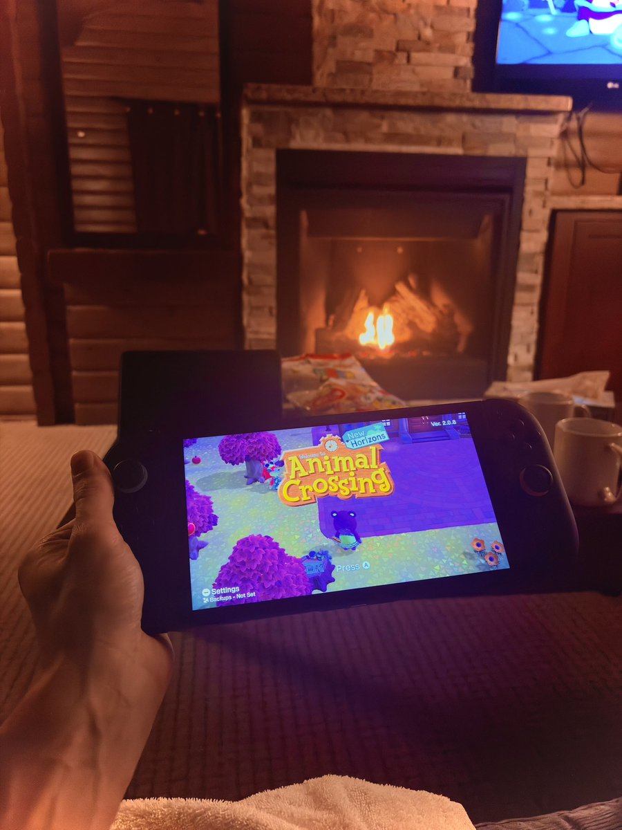 GamecubeZombie's tweet photo. Animal Crossing in a cozy cabin 🐶🐹🌲🌲🗻��🌲🌲 https://t.co/uHKo7jG8BT