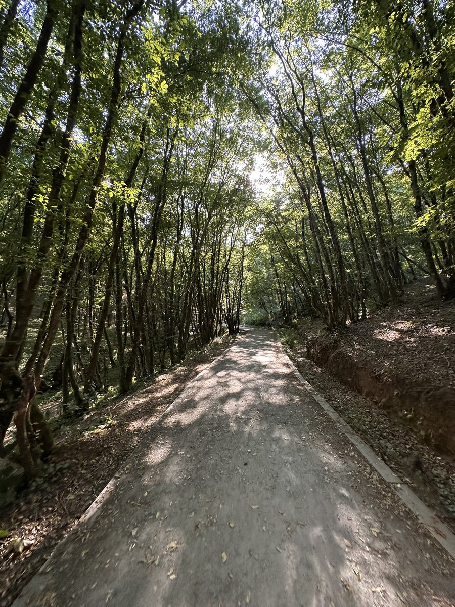 okankececii's tweet image. Yanıtlayabilen herkese günaydınnnn ☀️
Sabah doğa yürüyüşü 💪🏼