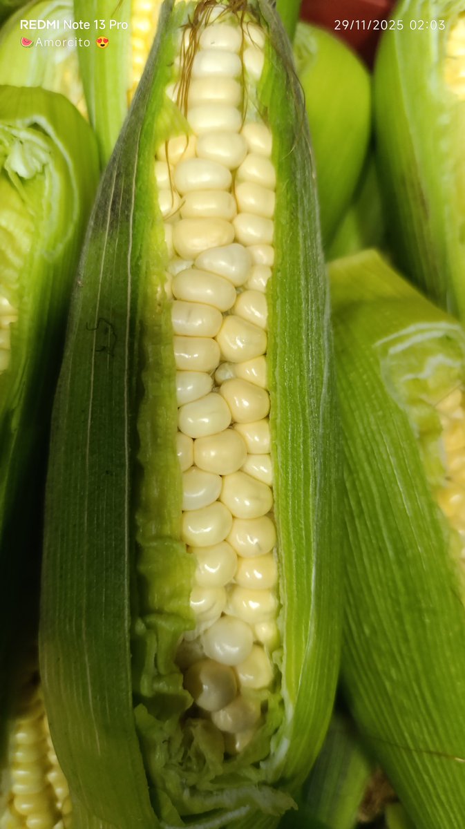 RinconEdison3's tweet image. #corabastos #Bogota