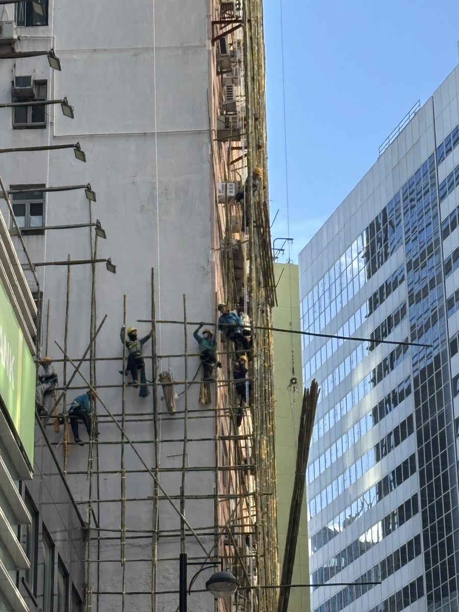 Laurent Mayer tweet media