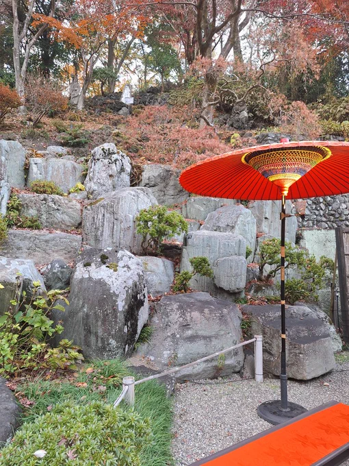 紅葉を見にいこうようしてきた