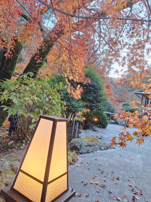 紅葉を見にいこうようしてきた