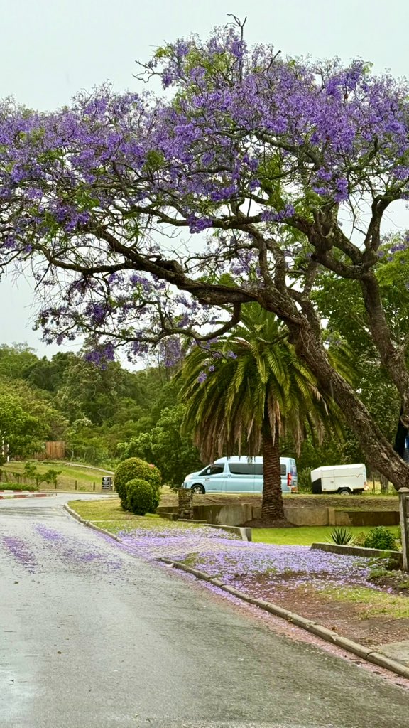 🕊𝑼𝒓𝒂𝒏𝒖𝒔🫆𝑯𝒂𝒏𝒊🕊 tweet media