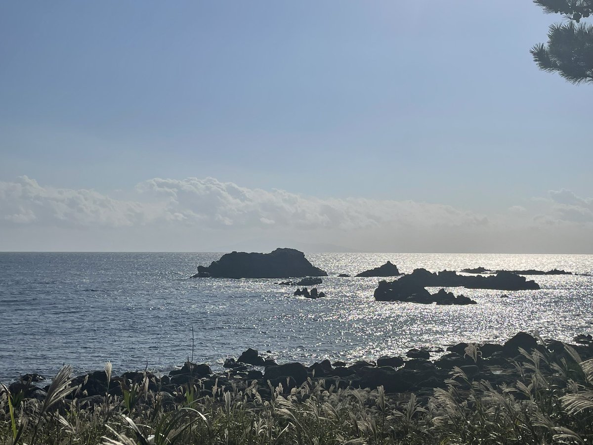 kotami_n's tweet photo. 式根島旅行記2

 #わためいとのはばない https://t.co/umKVgozozd