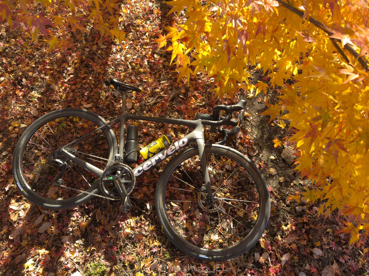 KAZU FTP159W@Next Is The Best! (@kazu2016_3) / Posts / X