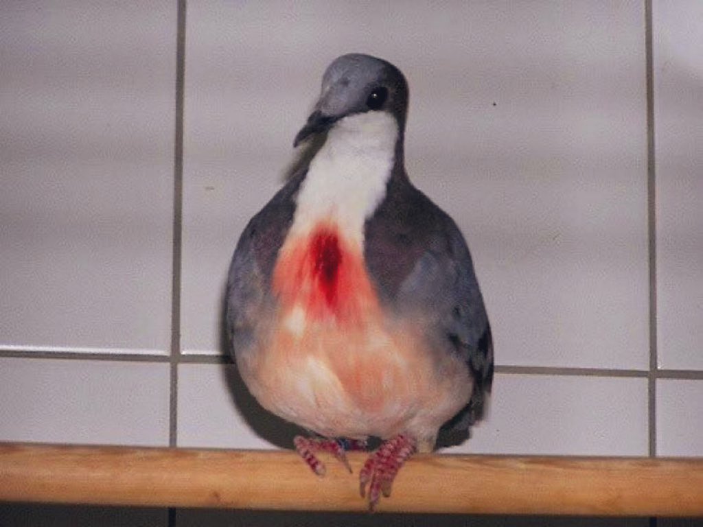 exhausted bee tweet media