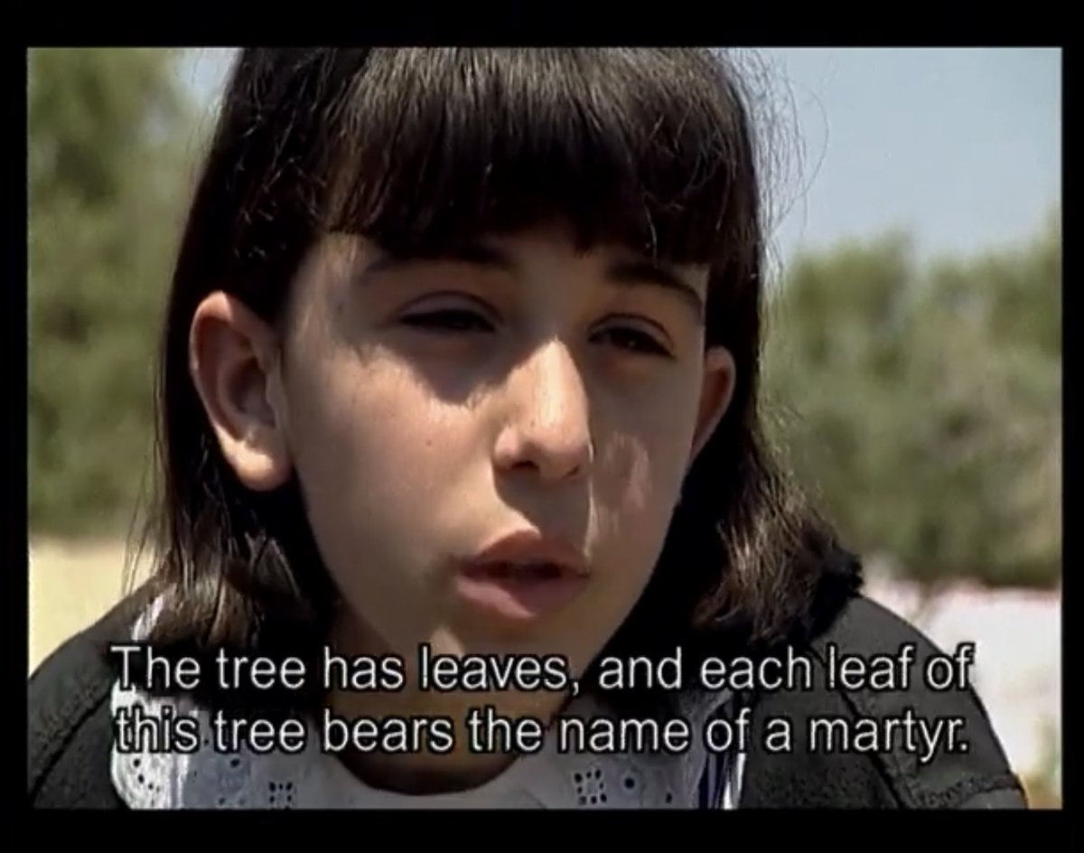 مخيم جنين بيموتش