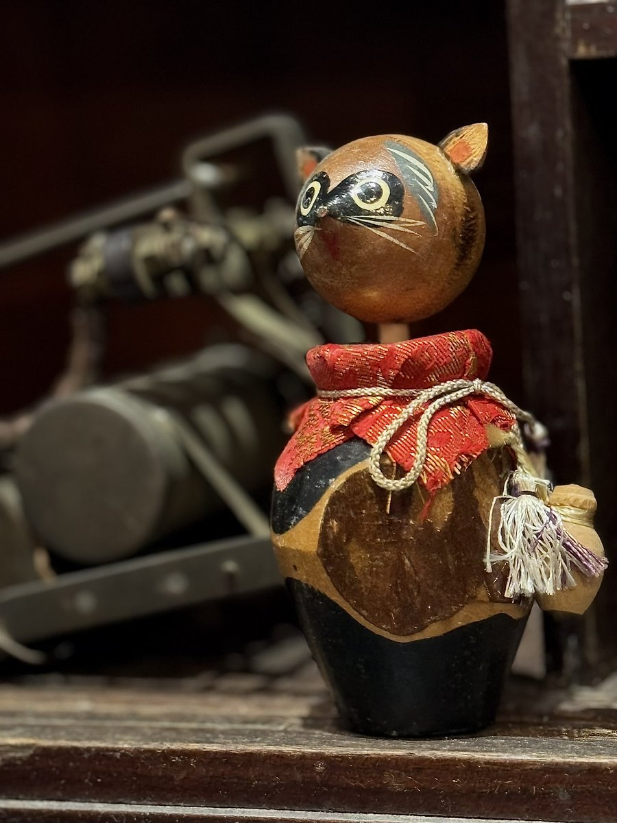 Post by ことり隊長 on X: たぬきです。