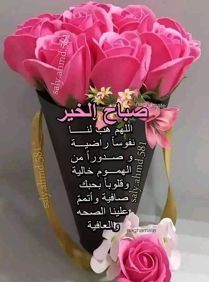 33Nightmoon's tweet photo. صباااح الخيرات 💕💕 https://t.co/kLt9GpD8ZC