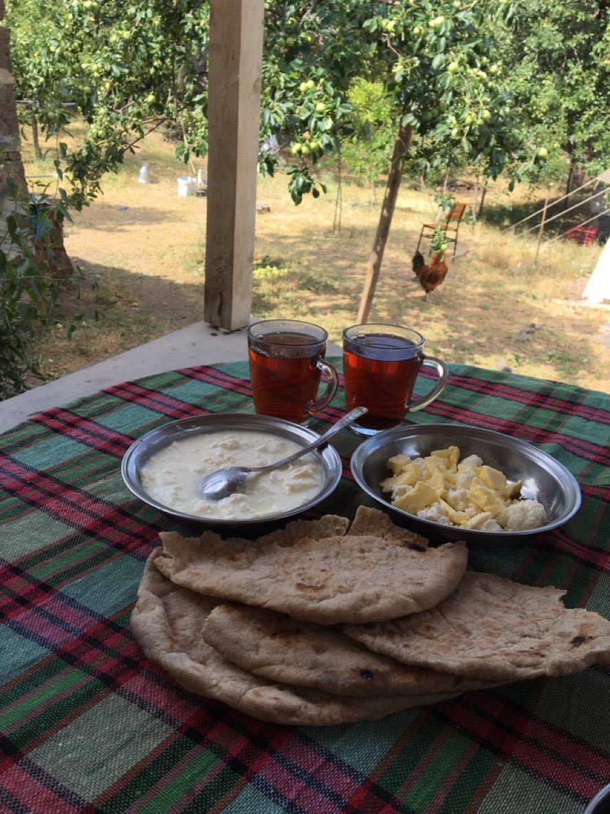 Alevilerin yemegi yenmez diyorlar.Yenmez kardeşim ,siz harama alışmışsınız helal lokma dokunur size .

SELAHATTİN DEMİRTAŞ 

Mazgirt 🍃💐🍃💚🍃💐sodıre xer