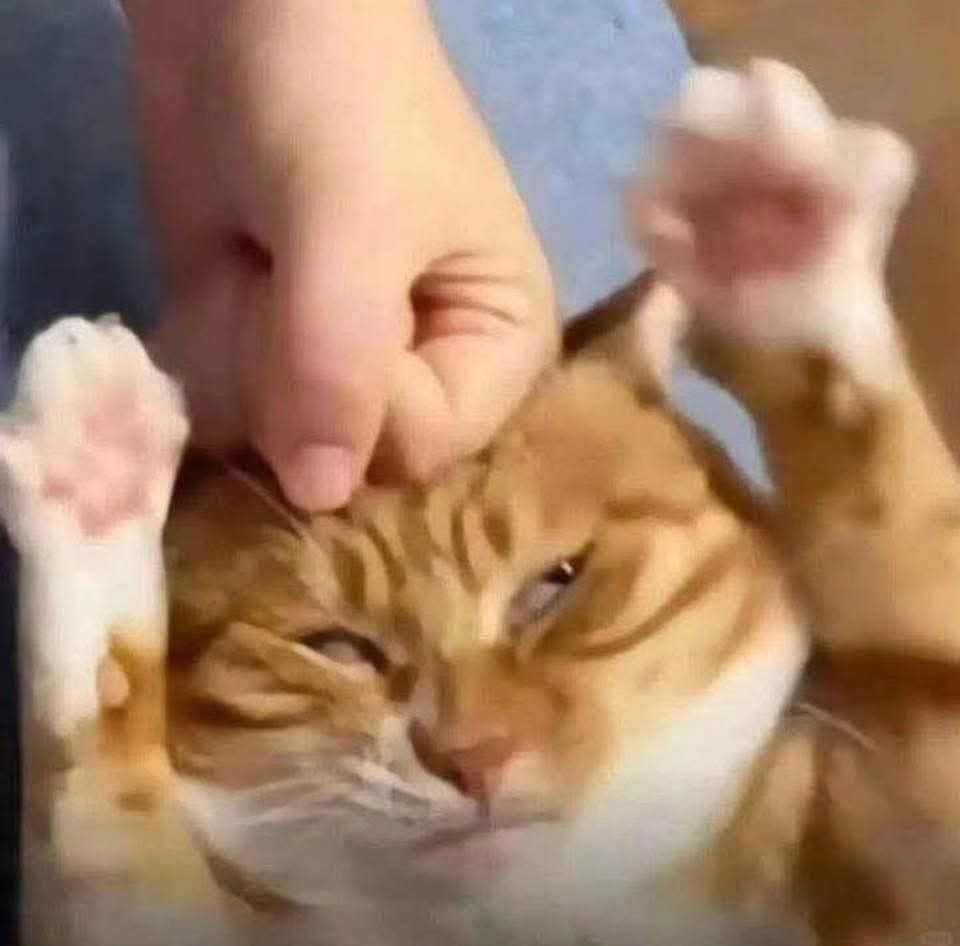 Would y'all be interested in $10 BW semi rough Sketch cmm? I am in a need for renfaire merch funding before this late December 🥹