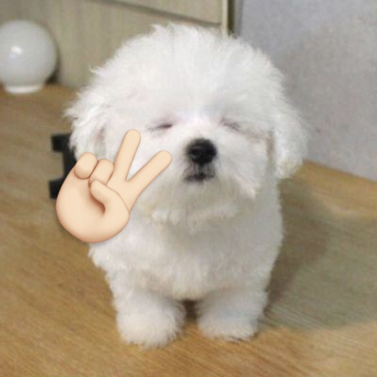 군인바봉아ㅋㅋ