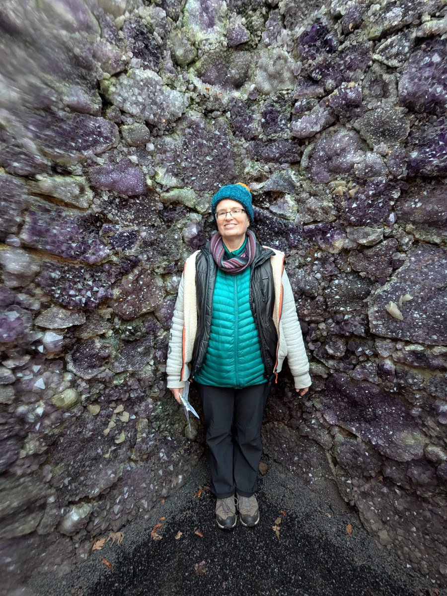 brew_with_view's tweet image. A is for Amethyst
...this amazing amethyst &apos;grotto&apos; is at Jupiter Artland, Edinburgh

&quot;The Light Pours Out of Me&quot; was created by artist Anya Gallaccio and features an underground grotto lined with amethyst and obsidian
#AlphabetChallenge #WeekVforVowels