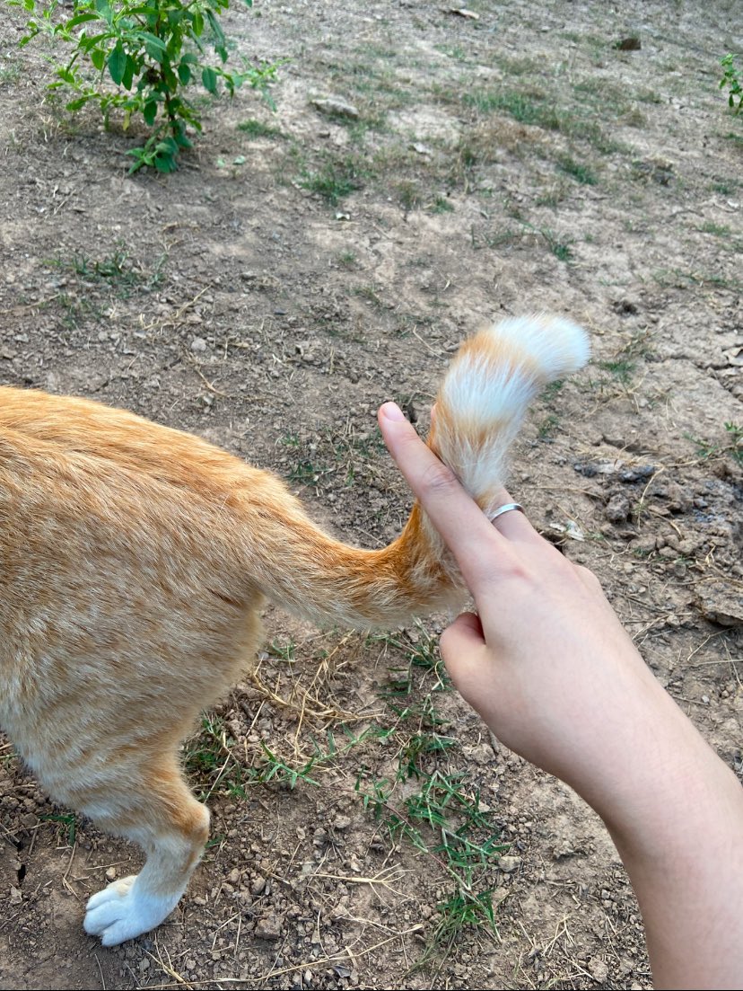 erubackup's tweet image. ฮ่าาาา~