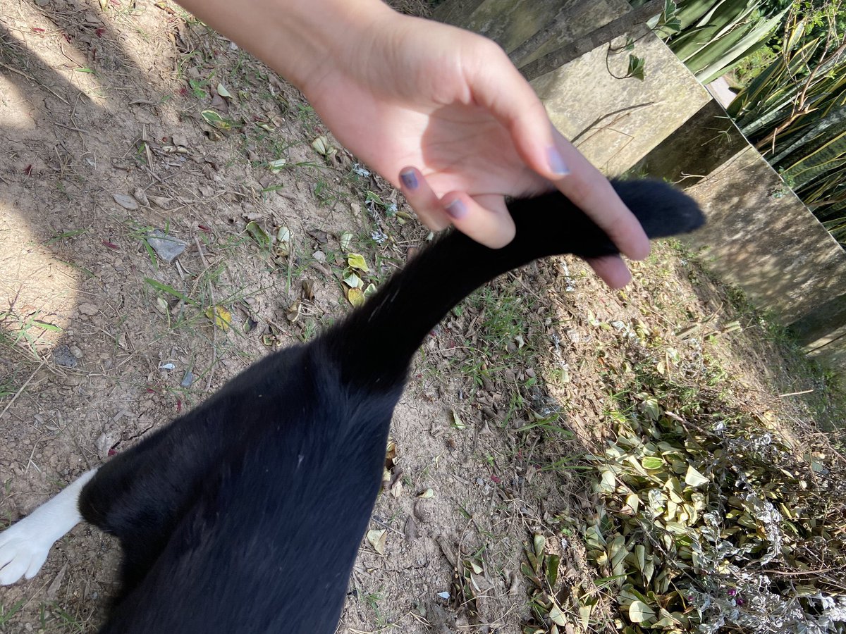 erubackup's tweet image. ฮ่าาาา~