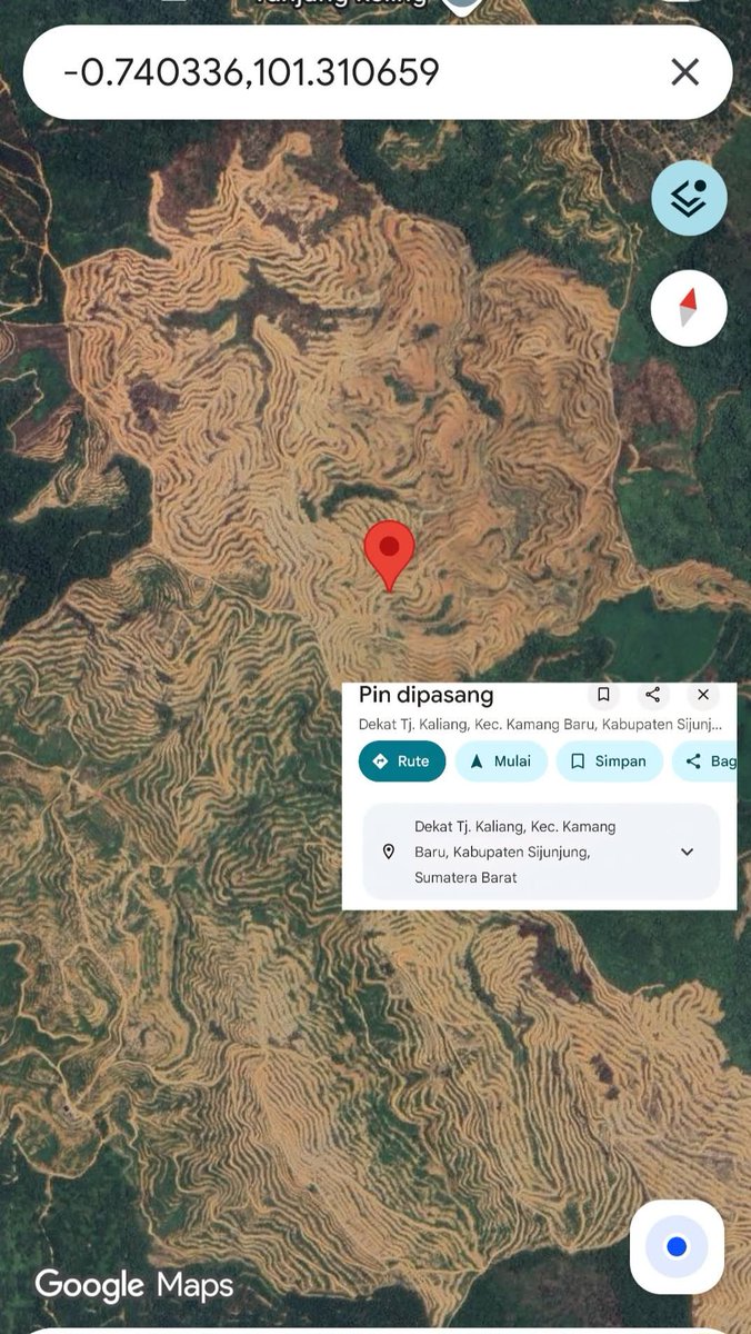 FiinaDu's tweet image. Ini apa wahai bapak bapak pejabat ?!
Ini apa ?! 😭😭😭
Seluas ini kawasan hutan dirusak, kalian ngapain ? 
Silahkan search di google map, ini di Kab. Sijunjung Sumatera Barat.

Keburu dihapus.