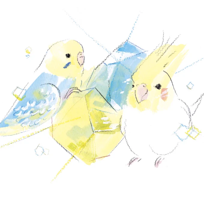 新作「トパーズとシトリンとセキセイインコとオカメインコ」 新作2026バードカレンダーの 11月のイラストです 誕生石のトパーズとシトリンの色に合う セキセイインコさんとオカメインコさんを描きました ふたつの誕生石のカラーが セキセイレインボーさんにぴったり イエローのオカメさんと一緒に