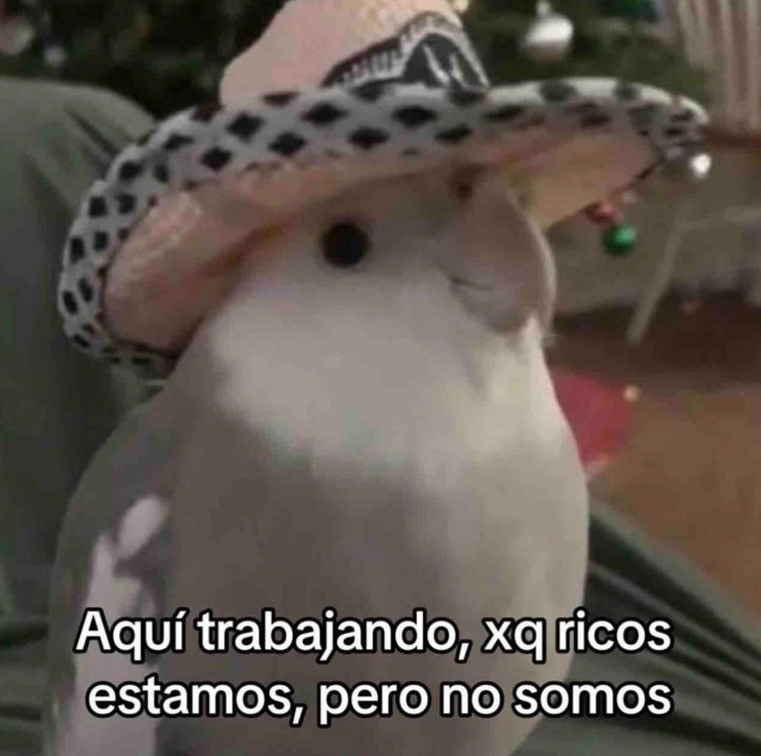 Hoy un 28, por que el 8 es mi numero favorito (?), anuncio que finalmente voy a tomar las responsabilidades de mi reino y liderar como tal, dejando atras el apodo yuni y convirtiendome asi en el rey unicornio que debo ser 🦄👑. Por lo tal...se vienen cositas y cambios🤠