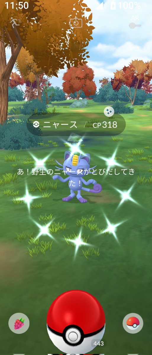 toshiPokego's tweet image. 寝起きのニャース✨😃