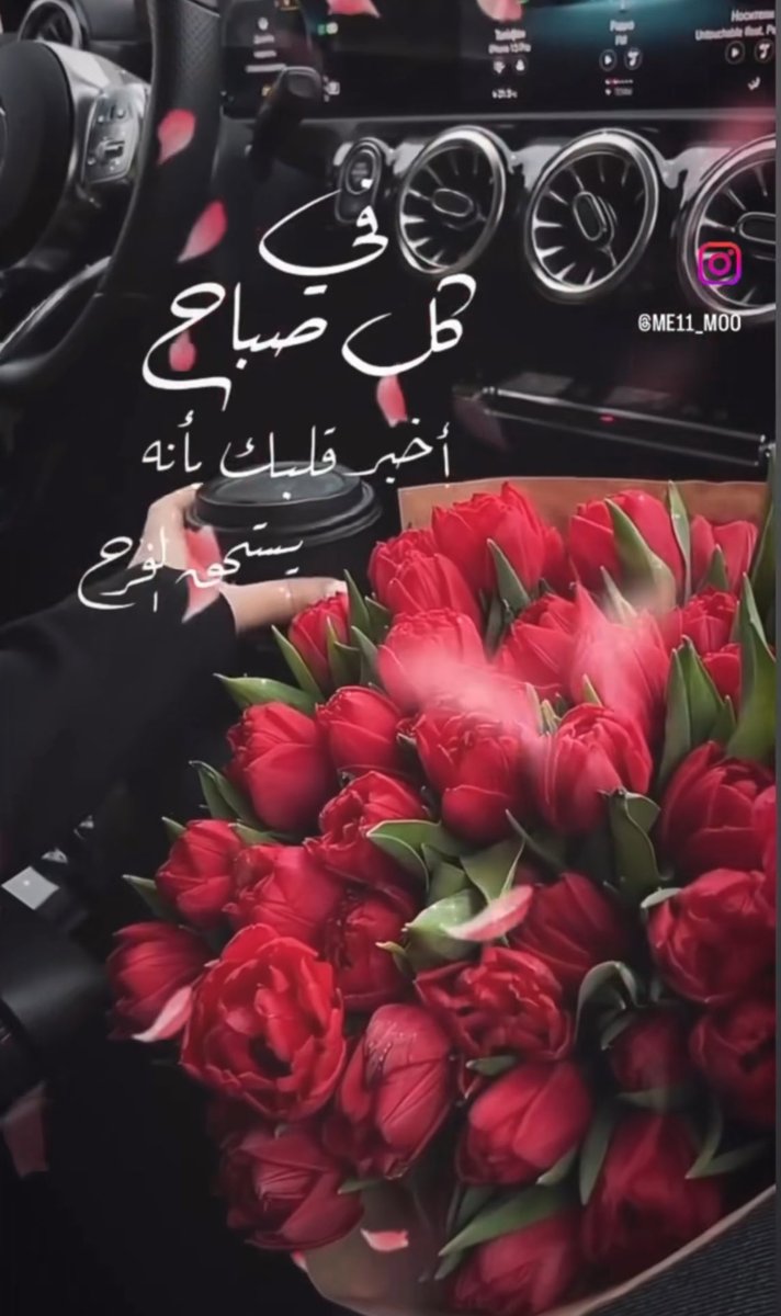 أحياناً لا نكره أحداً، ولا نزعل من أحد،
لكننا فقط نفقد الطاقة لكل شيء..
نفقد الرغبة في الكلام، في التبرير، في العتاب،
حتى الشعور بالناس يصبح باهتاً، لا يؤلم ولا يُفرِح.
وكأن القلب قرر أن يأخذ إجازة من كل شيء،
من الضجيج، ومن العلاقات، ومن الركض خلف ما لا يُفهَم.
حينها لا نحتاج سوى