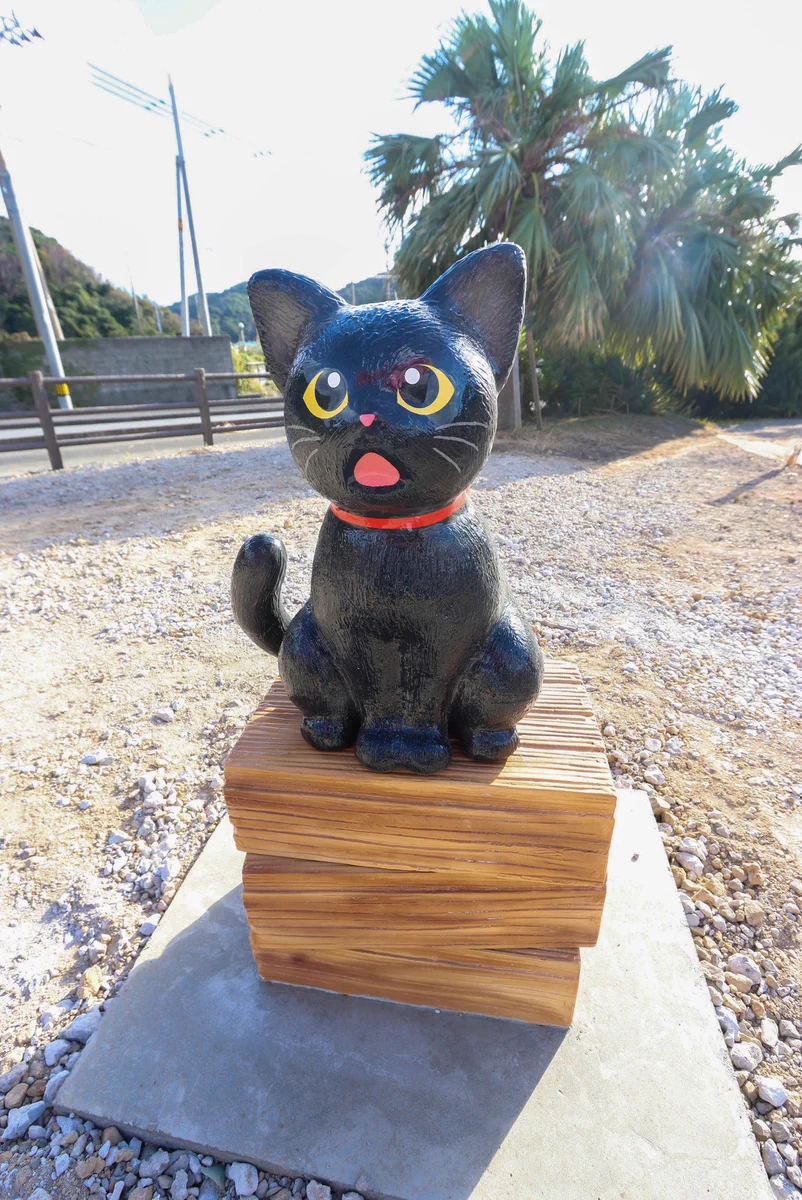 🍉中川翔子🍉🐈‍⬛ on X: 