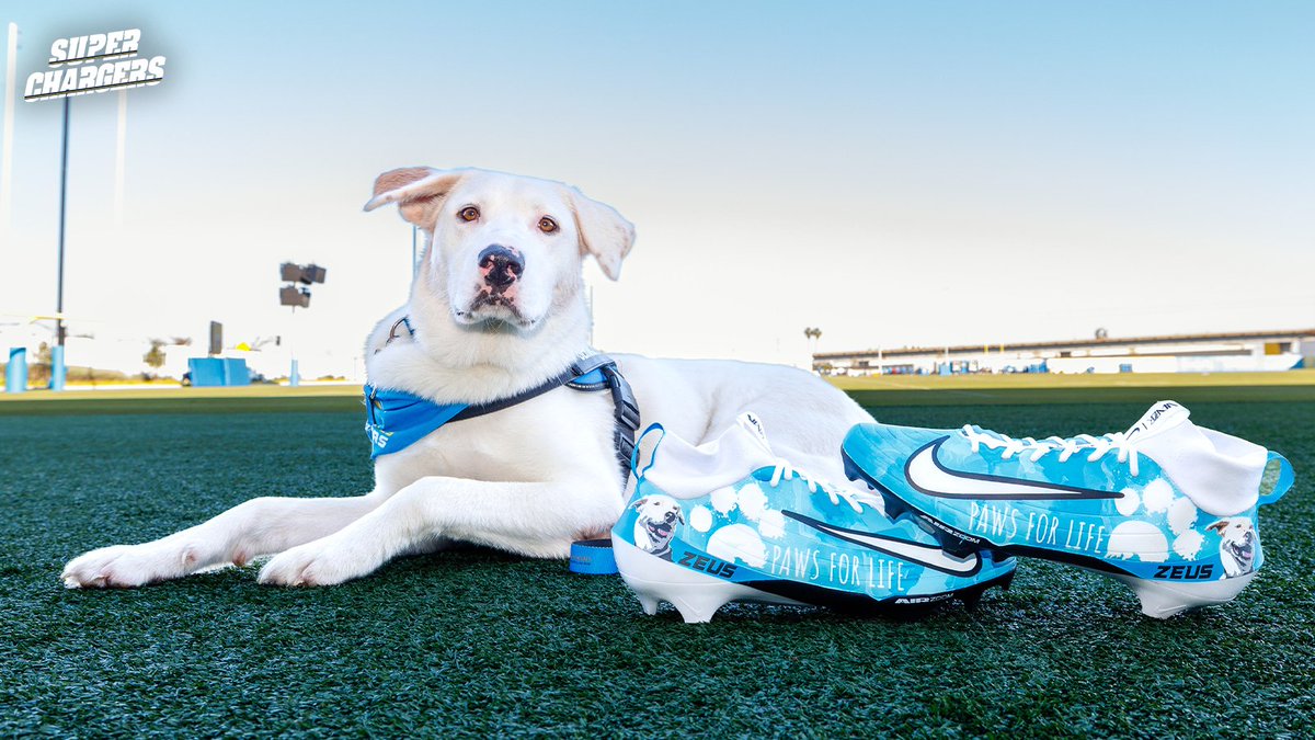 chargers's tweet photo. cleats for a cause 💙

justin is reppin’ paws for life k9 rescue on his cleats this sunday https://t.co/2JcVvSTGMO