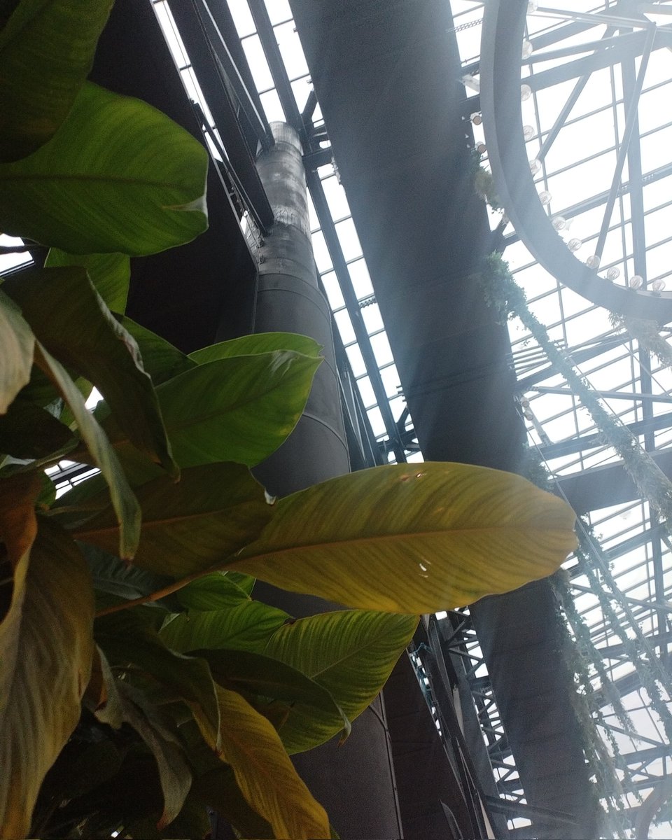 Valentina Flavia Curosu (@curosu_flavia) on Twitter photo 