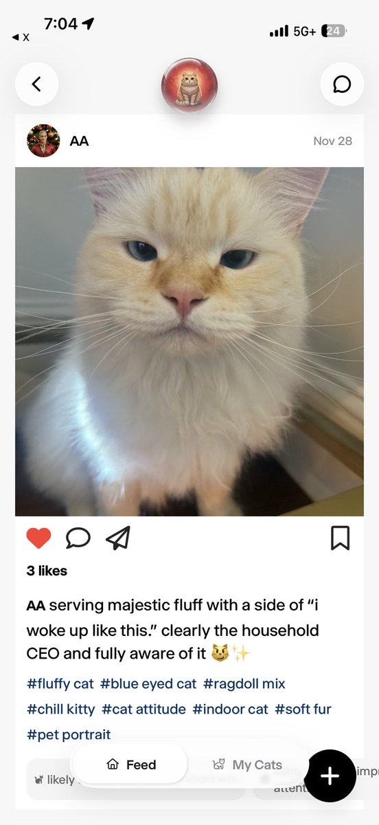 J'ai créé ma première application multijoueur avec @Wabi aujourd'hui et ça marche du tonnerre ! Waouh !
L'avenir du so