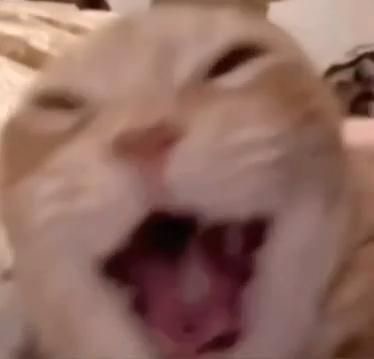 you guys wanna hear the song?? 