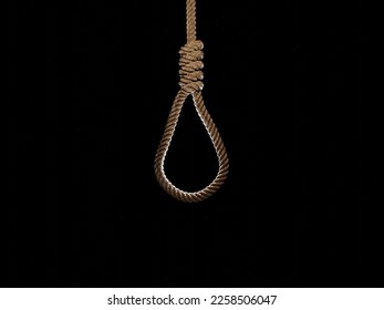 song0han12's tweet image. 