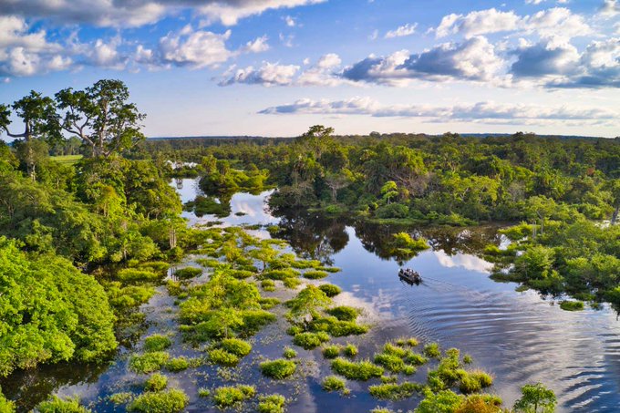 Africa’s forests are now emitting more CO₂ than they absorb

Logging and mining are destroying swathes of the Congo rainforest, with the result that African forests went from being a carbon sink to a carbon source in 2010 to 2017

newscientist.com/article/250628…

docs.google.com/document/d/19_…