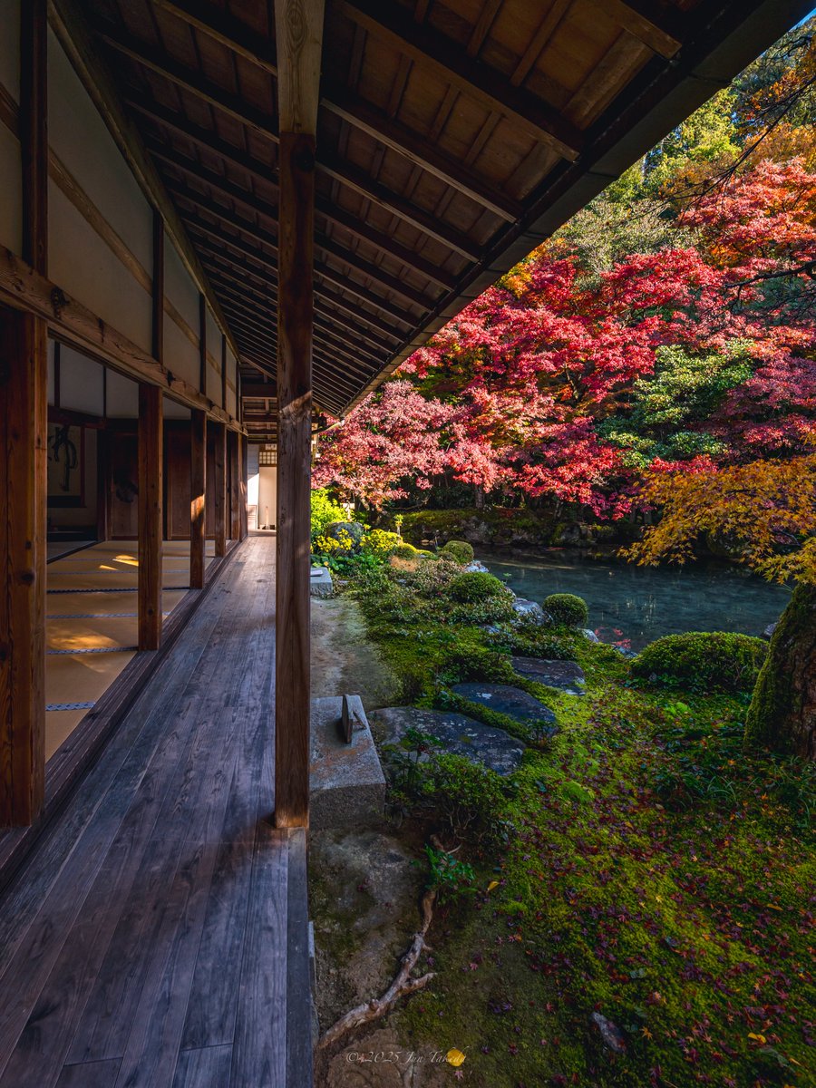 man_tac's tweet image. 京都洛北蓮華寺さんの紅葉🍁🍂🤗
2025.11.26撮影

#京都よきかな 
Leica SL2-S x SIGMA 16-28mm F2.8 DG DN | Contemporary