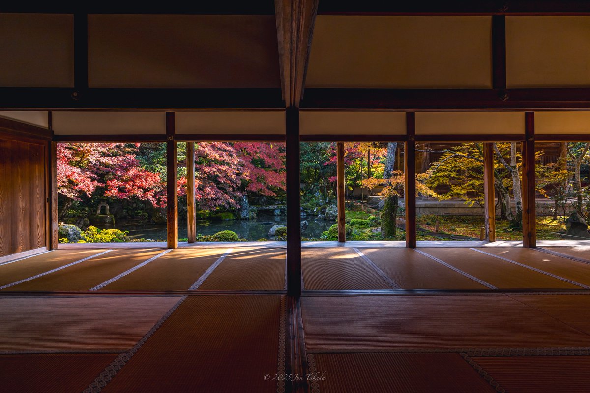 man_tac's tweet image. 京都洛北蓮華寺さんの紅葉🍁🍂🤗
2025.11.26撮影

#京都よきかな 
Leica SL2-S x SIGMA 16-28mm F2.8 DG DN | Contemporary