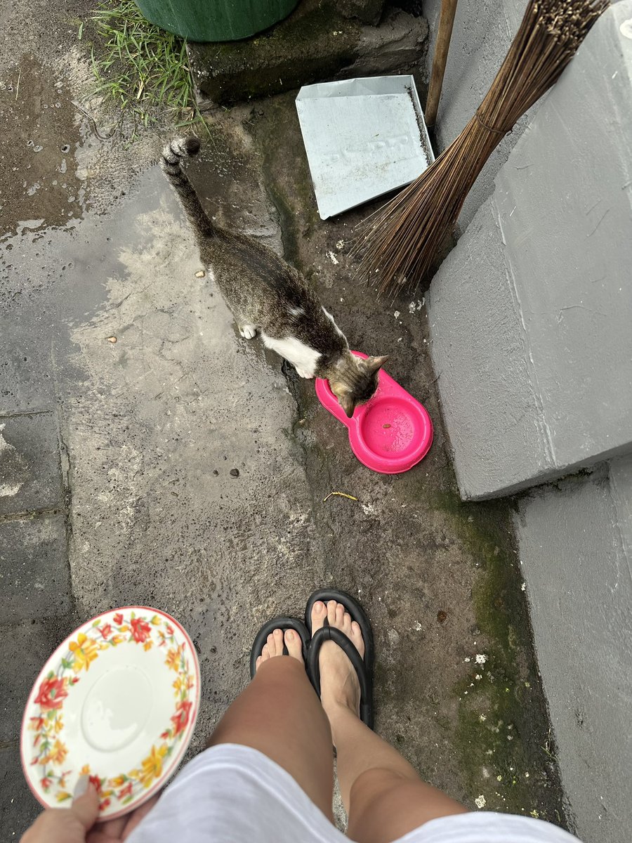 мы проиграли